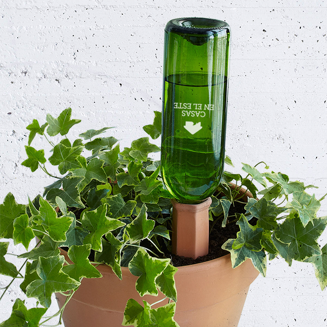 truco-para-regar-plantas.png