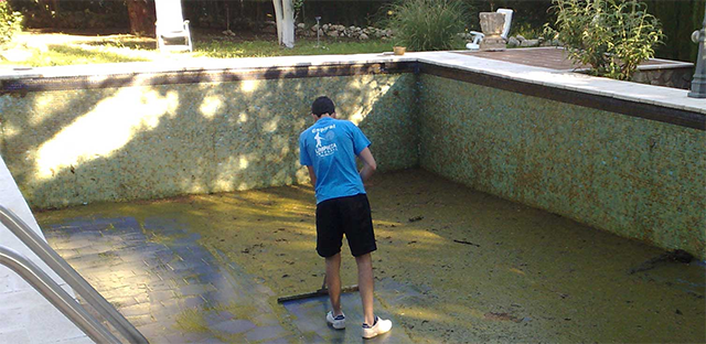 limpieza-piscinas.png