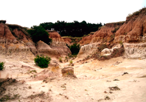 Sendero Cárcavas Milenarias - imagen 7