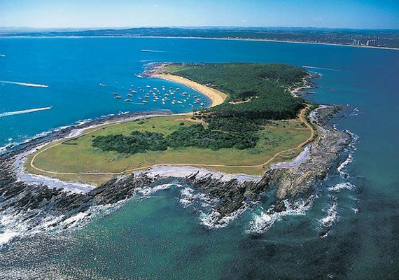 Isla Gorriti - Casas en el Este