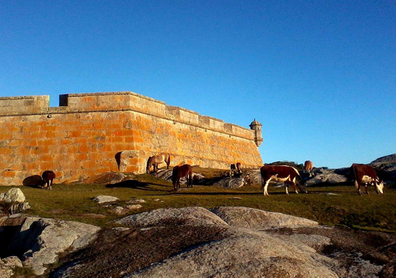 vacas.jpg