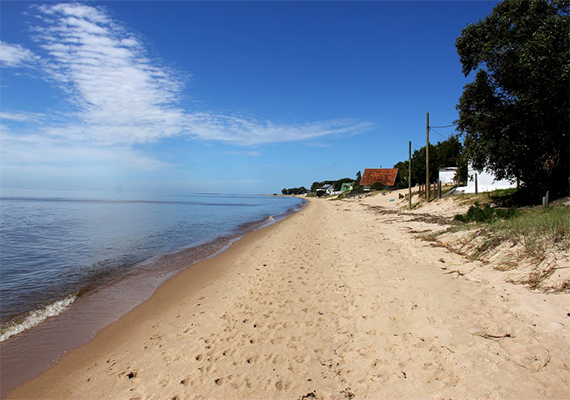 lagunamerin3.png