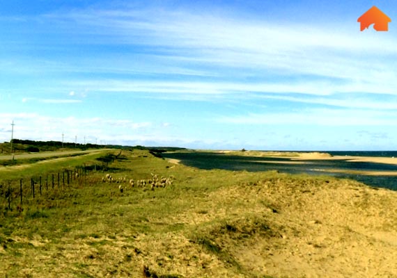 laguna-jose-ignacio2.jpg