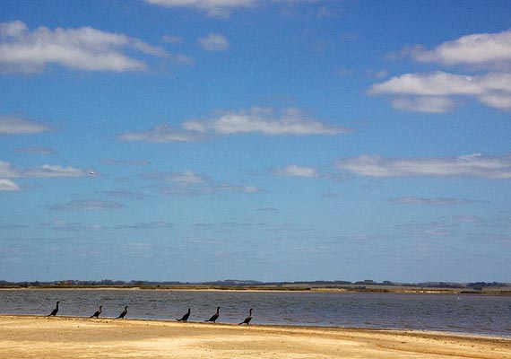 laguna-jose-ignacio3.jpg
