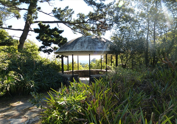 arboretum3.png