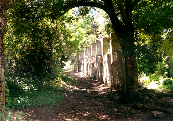 arboretum2.png