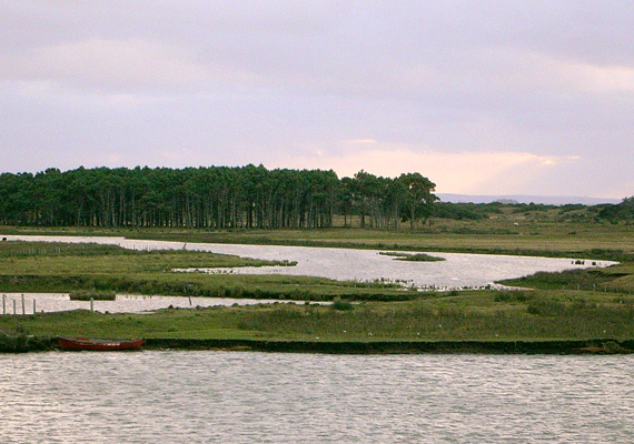 arroyo-valizas.jpg