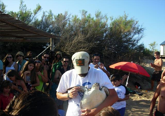tortugasliberadas.png