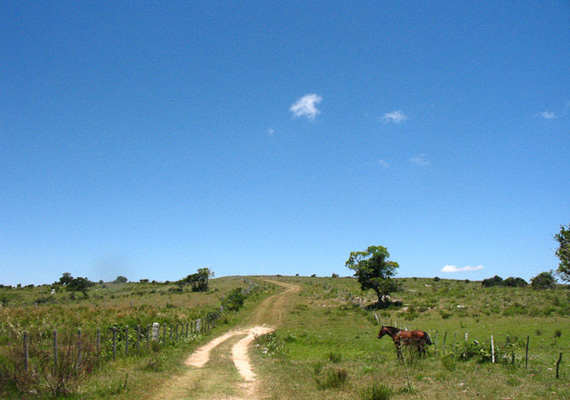 campogarzon.png