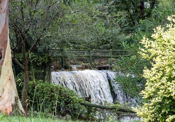cascada-la-falda.jpg