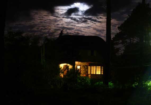 noche-la-falda.jpg