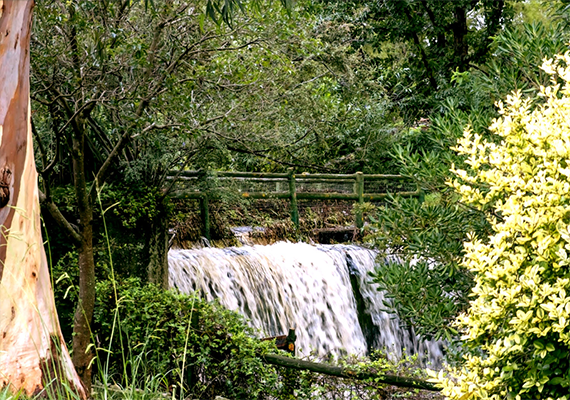 parquenacionalcascada.png