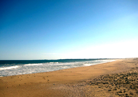 san_sebastian_pedrera_1.jpg