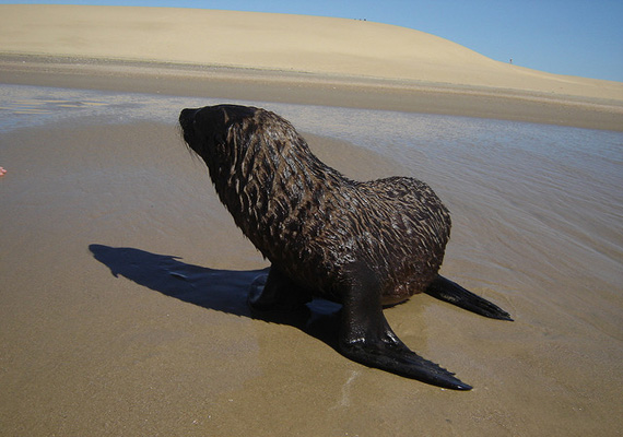 playa-calavera-lovezno.jpg