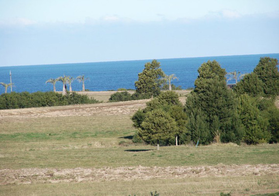 las-garzas1.jpg