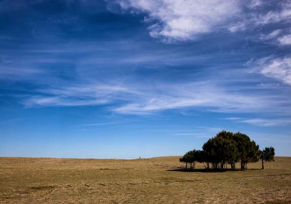laguna-garzon-localidad3.jpg