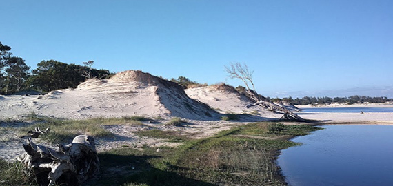 parquedelplatadunas.jpg