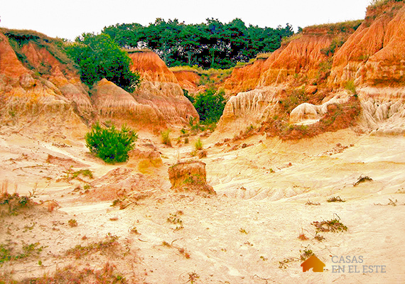 carcabas-punta-rubia.jpg
