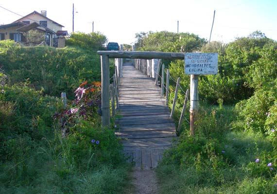 puimayen-puente.jpg