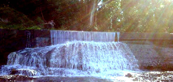 represa-las-flores-cu.jpg