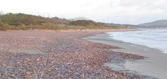 bellavista-playa-cu.jpg