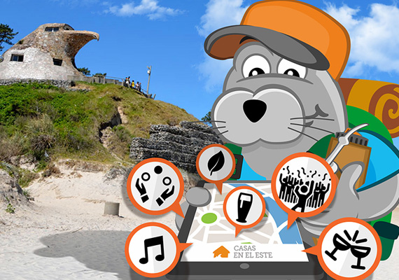 costa de oro pronta_0.jpg