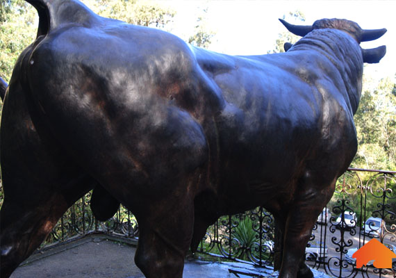toro 2.jpg
