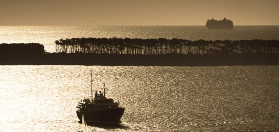 isla gorriti pde foto 6.jpg