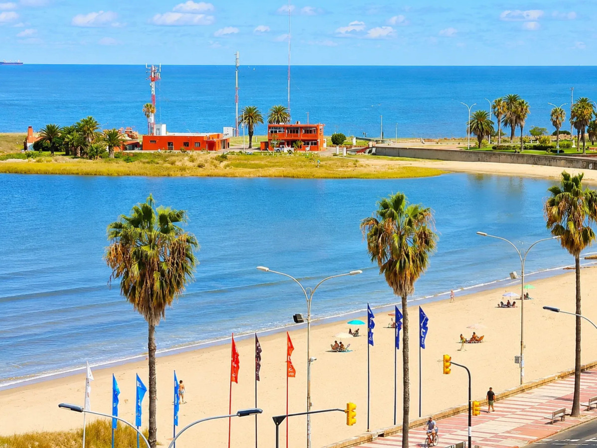 Alquiler De Monoambiente A 50 Metros De La Playa En Punta Carretas · Foto 8