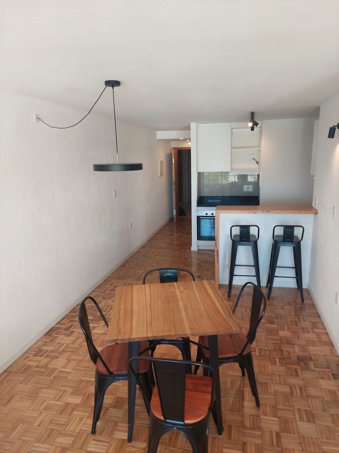 Hermoso Apartamento Amueblado 1 Dormitorio Con Vista Despejada · Foto 4