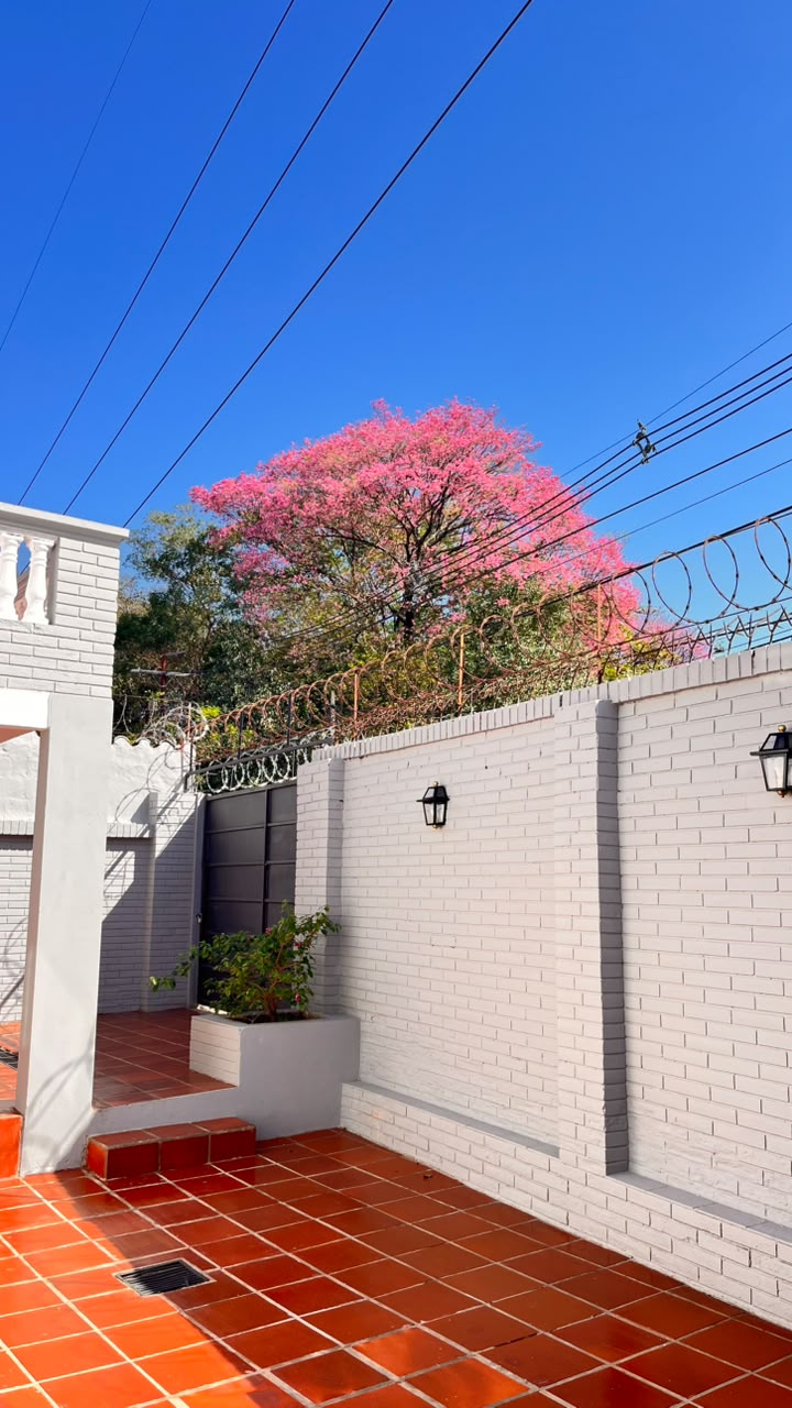 Alquilo Casa de 3 Dormitorios en Roberto L. Petit - Asunción — foto 3