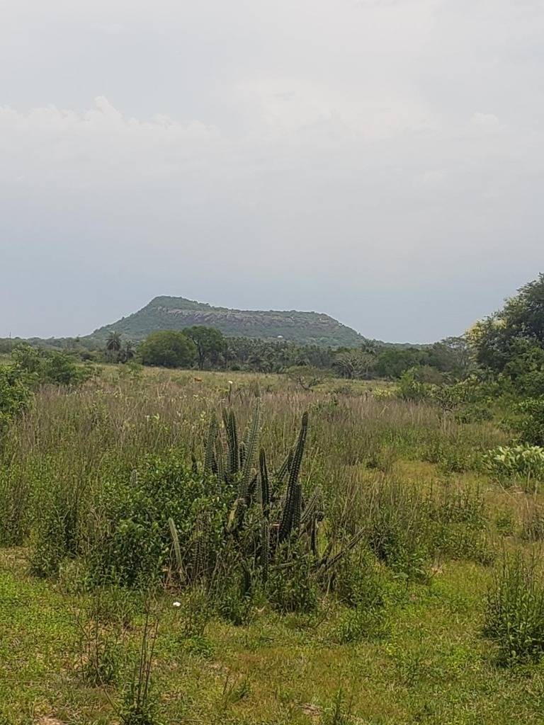 VENDO HECTAREAS EN YAGUARON — foto 2