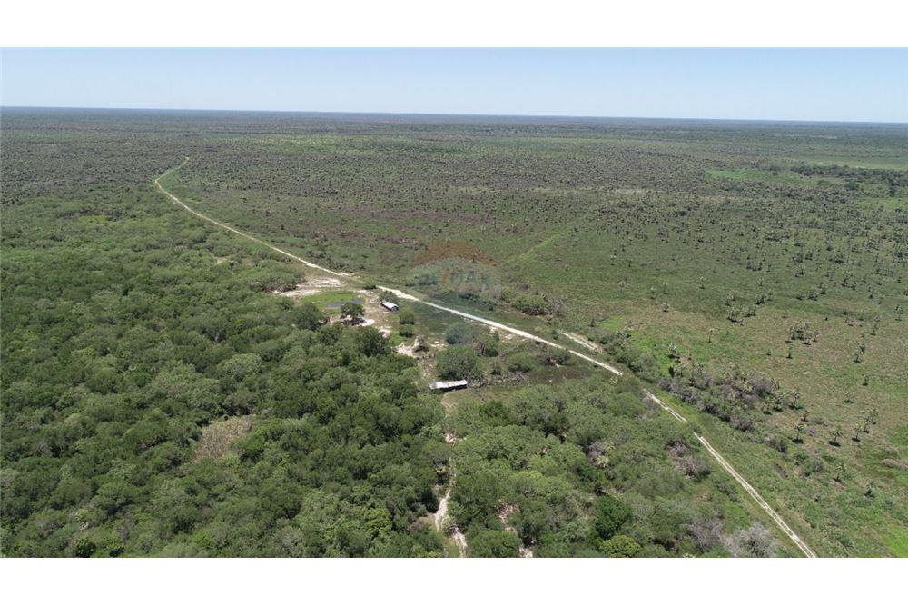 Campo Ganadero Ruta 12 Pte. Hayes. Ninfa. — foto 3