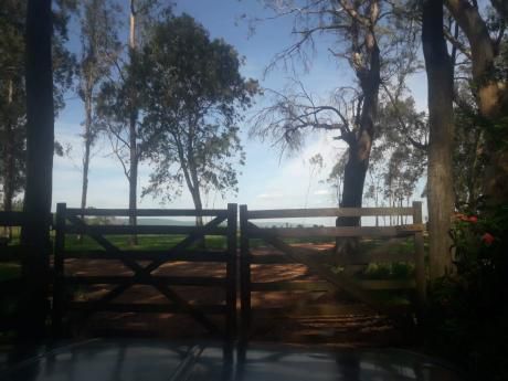 Hermosa Estancia En Paraguari