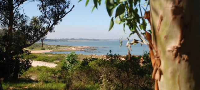 Los 8 rincones rurales de Montevideo que tenés que visitar esta primavera