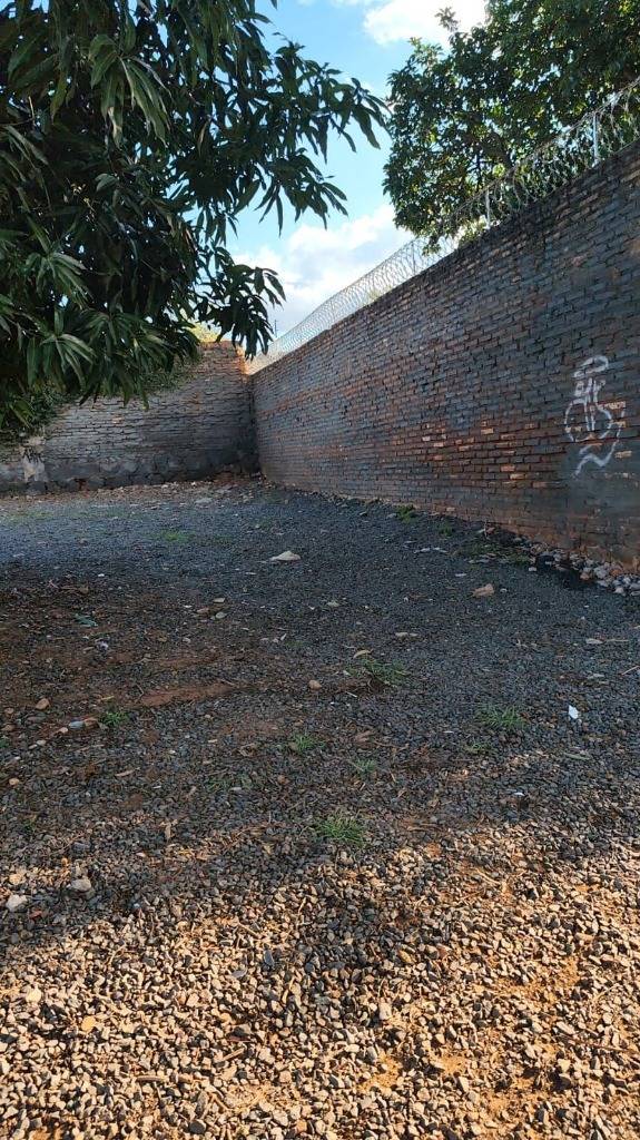 SE ALQUILA TERRENO EN ESQUINA EN EL CUARTO BARRIO LUQUE — foto 3