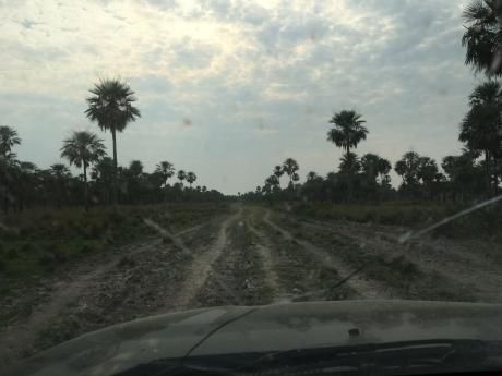 Venta De Estancia De 8000 Ha. En El Chaco