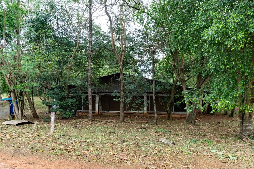 GRANJA AVÍCOLA EN FUNCIONAMIENTO, ITACURUBÍ DE LA CORDILLERA — foto 3