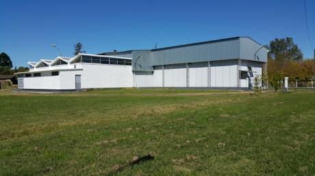 Depósito Frigorífico (800 M2) Apto X Estándares Unión Europea