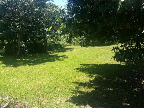 Aratiri-capiata-terreno 12 X 30-35.000.000 Gs!