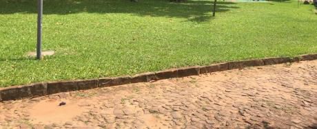 Vendo 2 Terrenos Juntos En Esquina En Luque!! Zona Carvallo