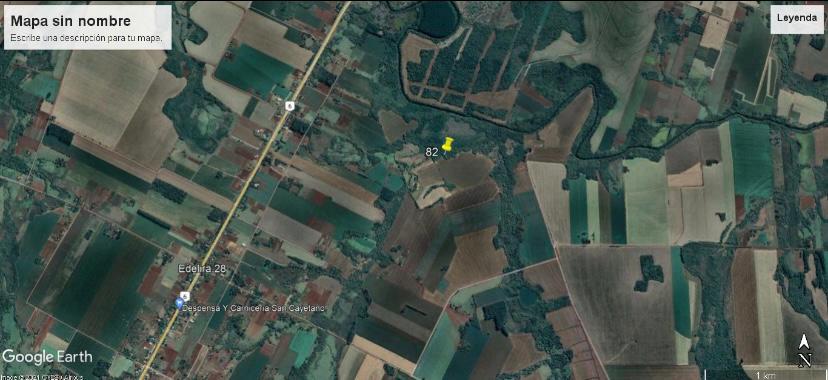 Vendo ﻿Campo de 82 Hectáreas en Edelira, Itapúa - CLCS7107672 — foto 2