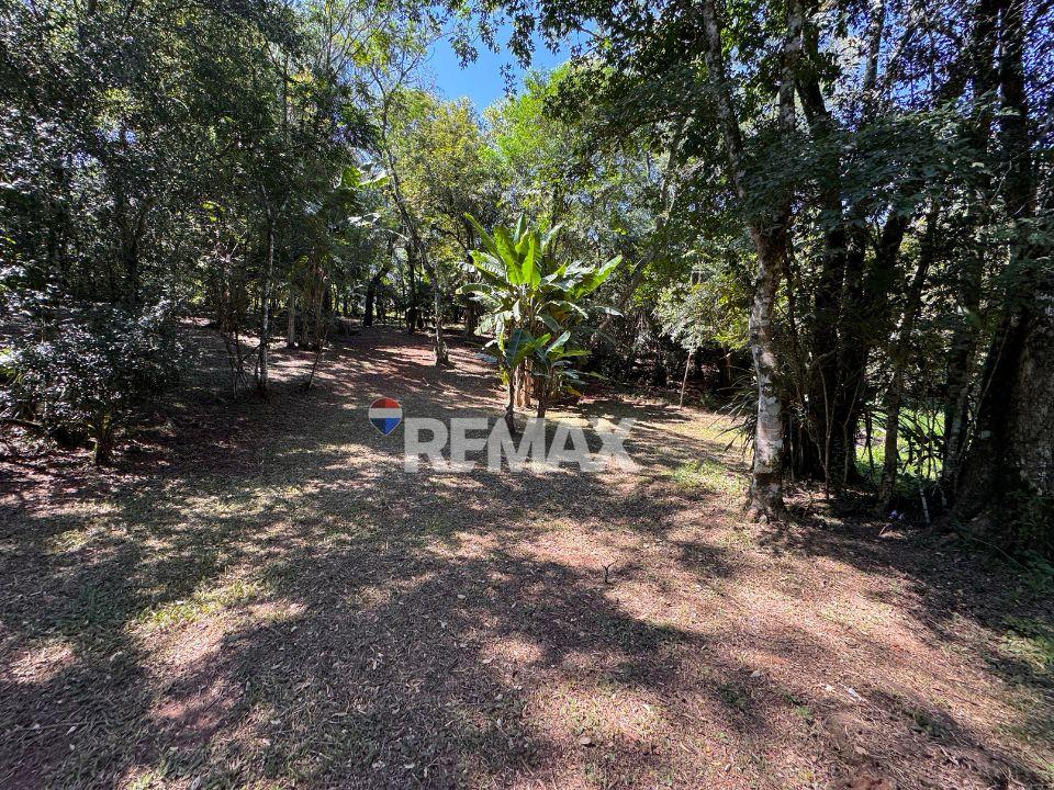 EN VENTA 6.3 HECTÁREAS | Alto potencial de inversión en Alto Paraná. — foto 3