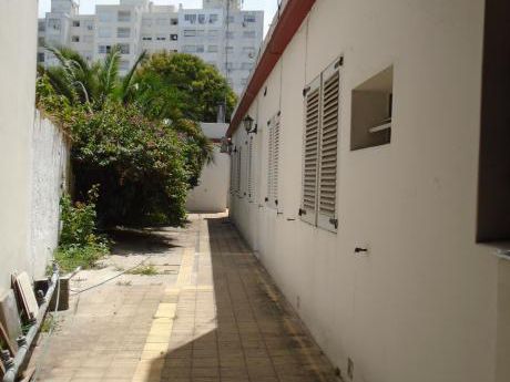 Apto 2 Dorm Pque Batlle (planta Baja)