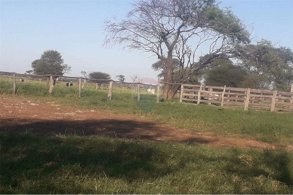 EN VENTA CAMPO UBICADO EN TTE. MARTINEZ-PTE HAYES — foto 2