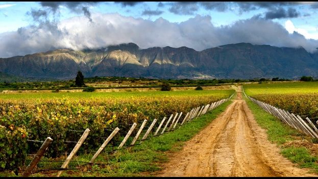 La situación del mercado inmobiliario rural: entrevista con Adrián Barbero