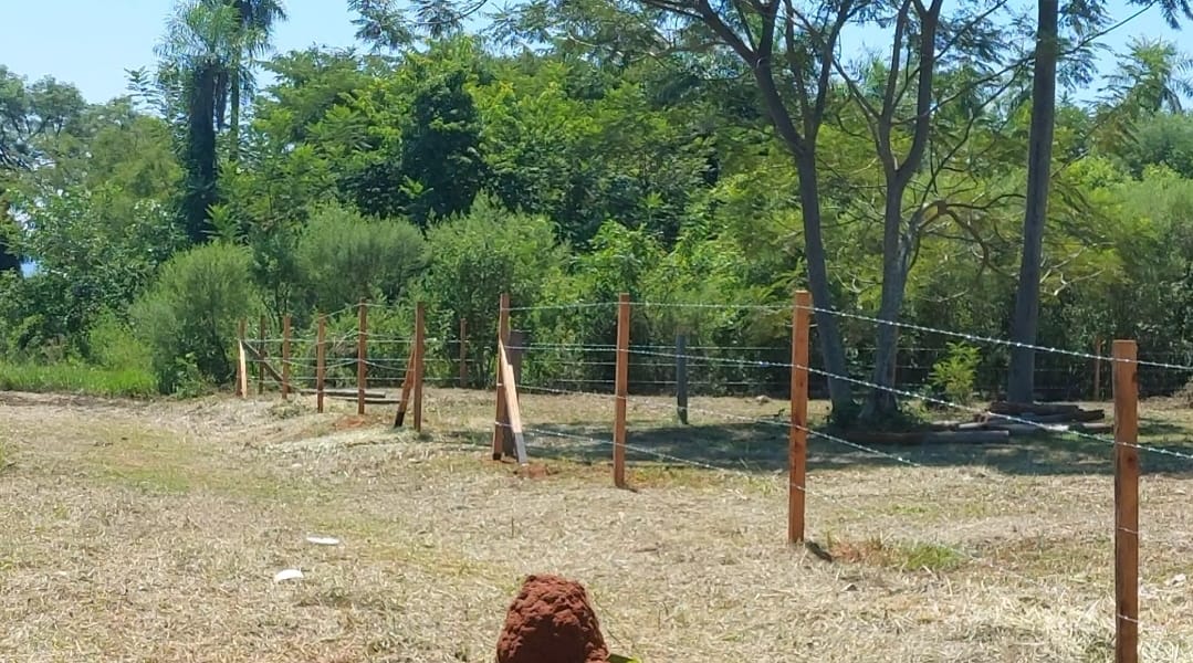 Terreno — foto 3