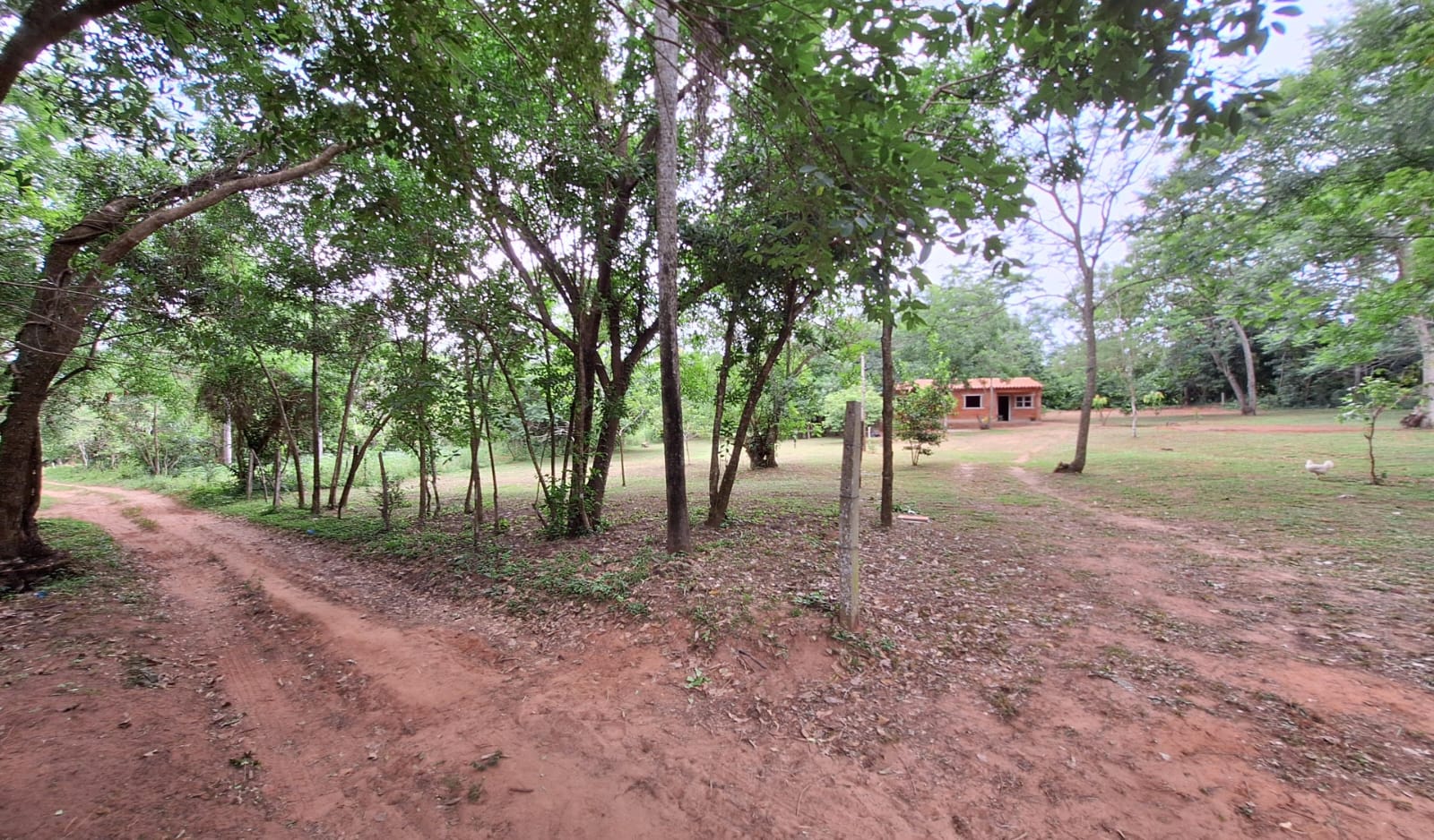 VENDO TERRENO EN EUSEBIO AYALA KM64 Z/ TUJUKUA — foto 2