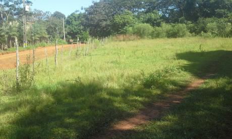 Vendo 6 Terrenos Juntos En Luque!! En Itapuami 2.184 M2