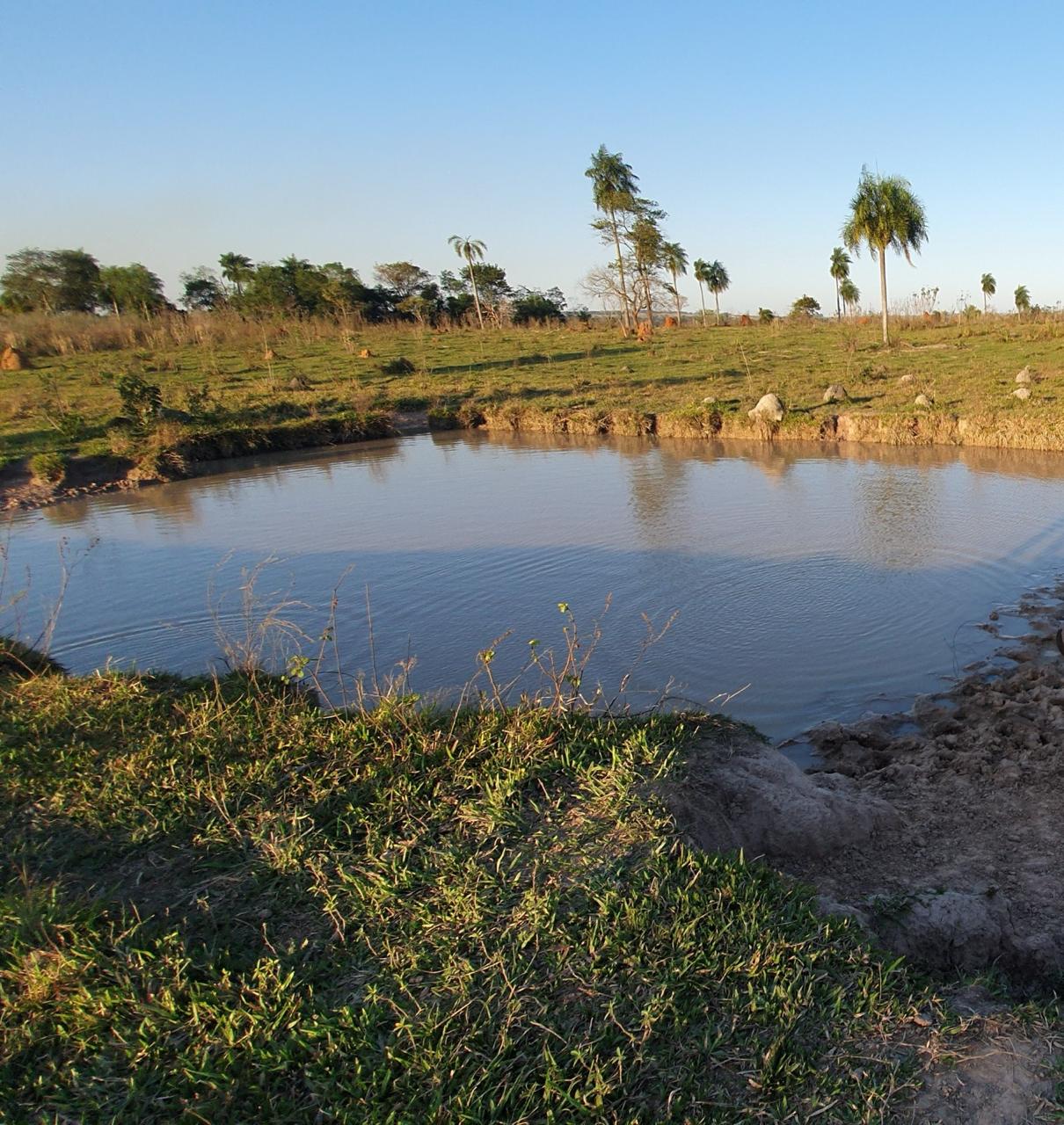 EN VENTA 60 HECTÁREAS EN CURUGUATY- SANTA ROSA. PARAGUAY. — foto 2